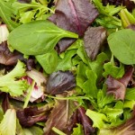 http://www.dreamstime.com/stock-image-fresh-mix-salad-image23862041